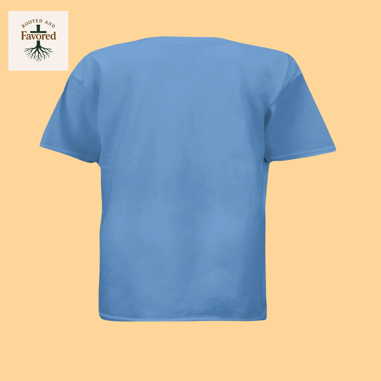Boys Next Level T-shirt "Warrior of Light"