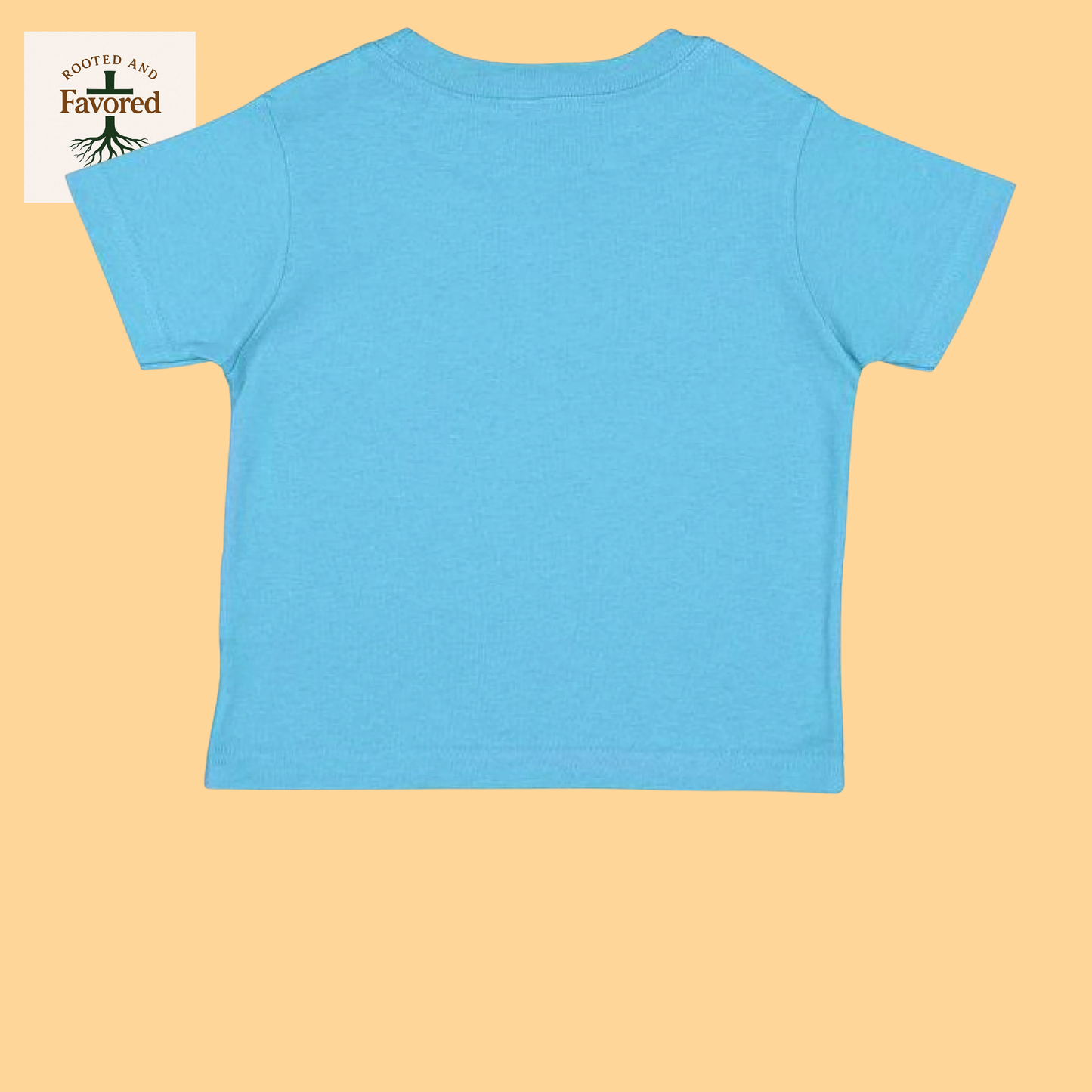 Rabbit Skins Toddler Fine Jersey T-Shirt "I AM A Child Of God"