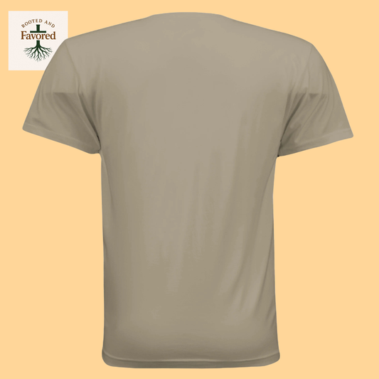 Men's Next Level Apparel Cotton T-Shirt "God's Plan > My Plan"