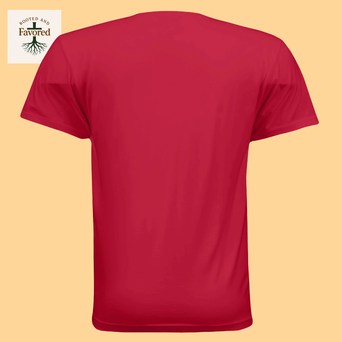 Men's Next Level Apparel Cotton Tee "Stand Firm"