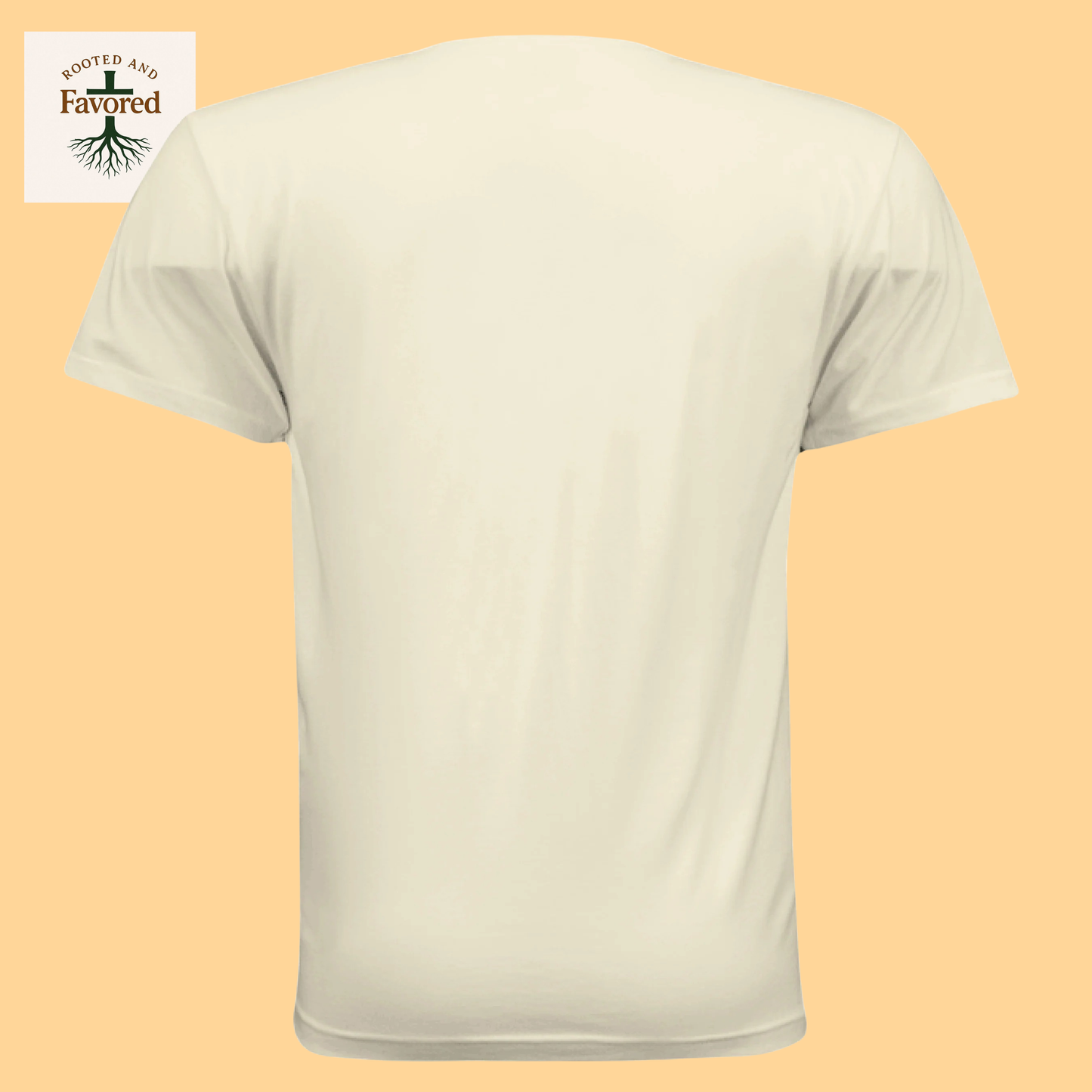 Men's Next Level Apparel Cotton T-Shirt "God's Plan > My Plan"
