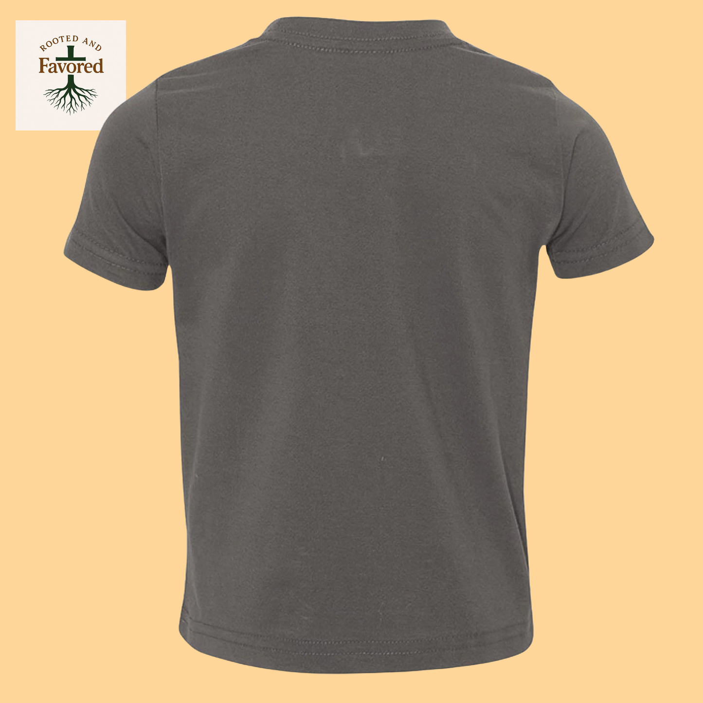 Rabbit Skins Toddler Fine Jersey T-Shirt "I AM A Child Of God"