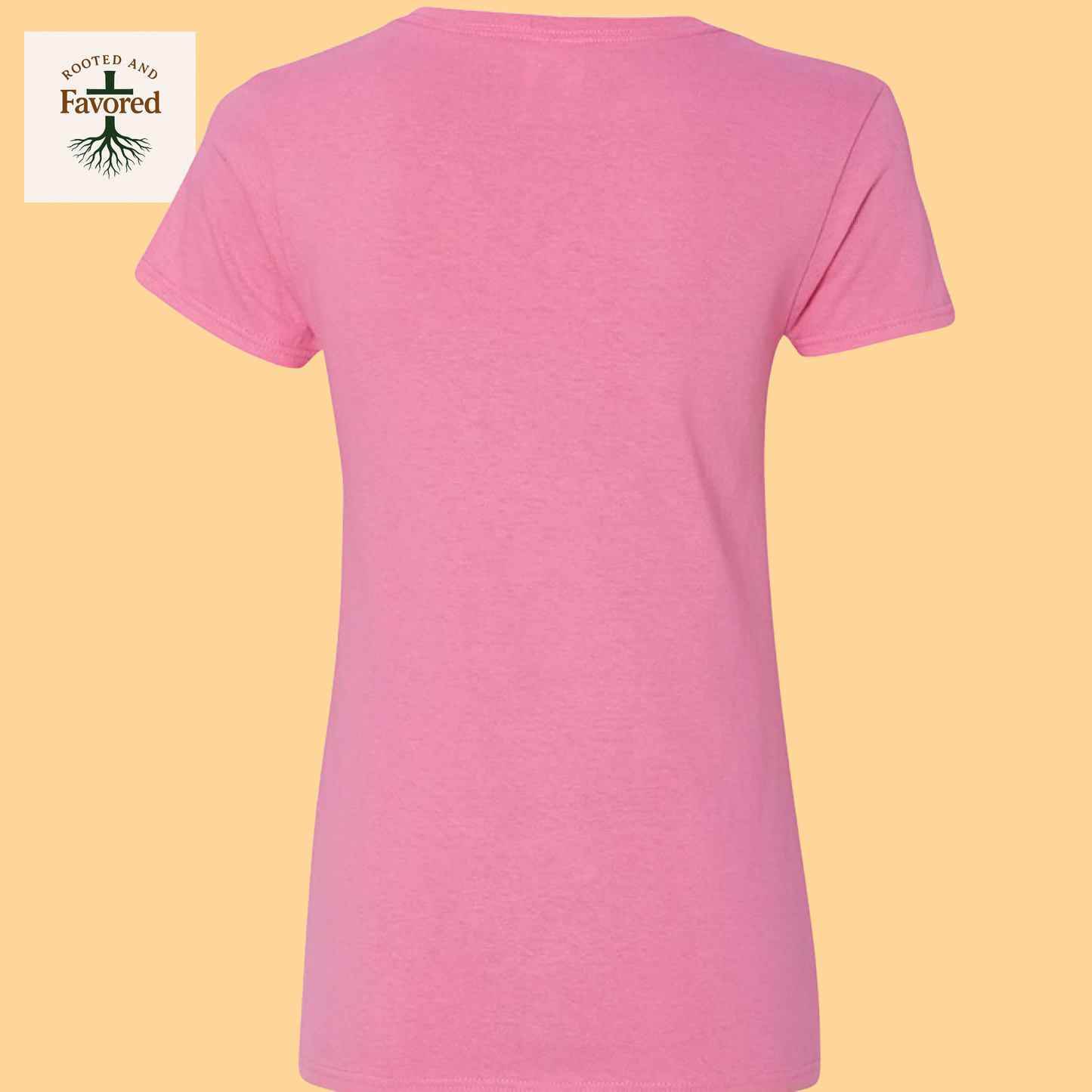 Women's Gildan Heavy Cotton V-Neck T-Shirt "Created With A Purpose"
