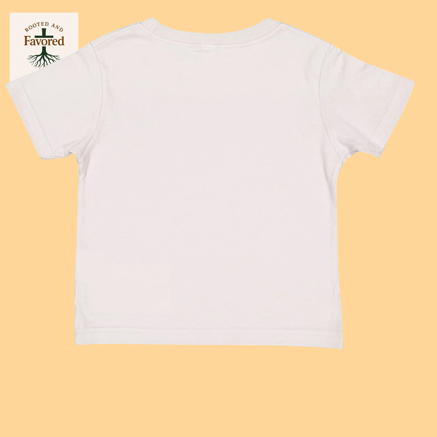 Rabbit Skins Toddler Fine Jersey T-Shirt "I AM A Child Of God"
