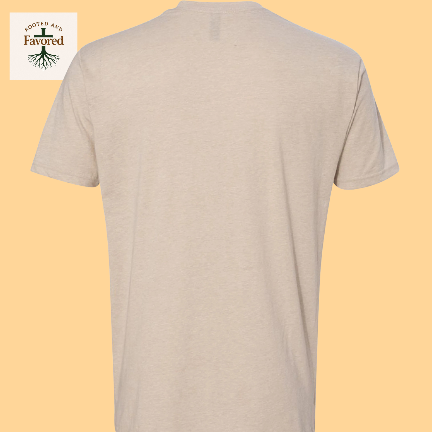 Mens Next Level Apparel T-shirt "Rooted In Christ"