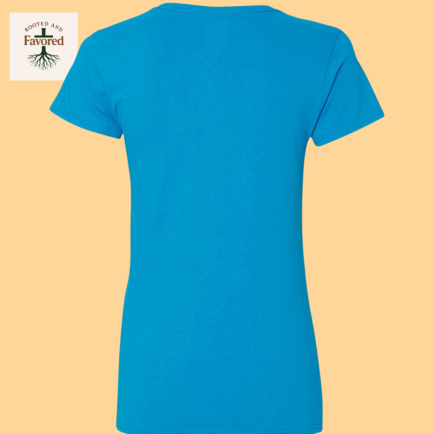 Women's Gildan Heavy Cotton V-Neck T-Shirt "Created With A Purpose"