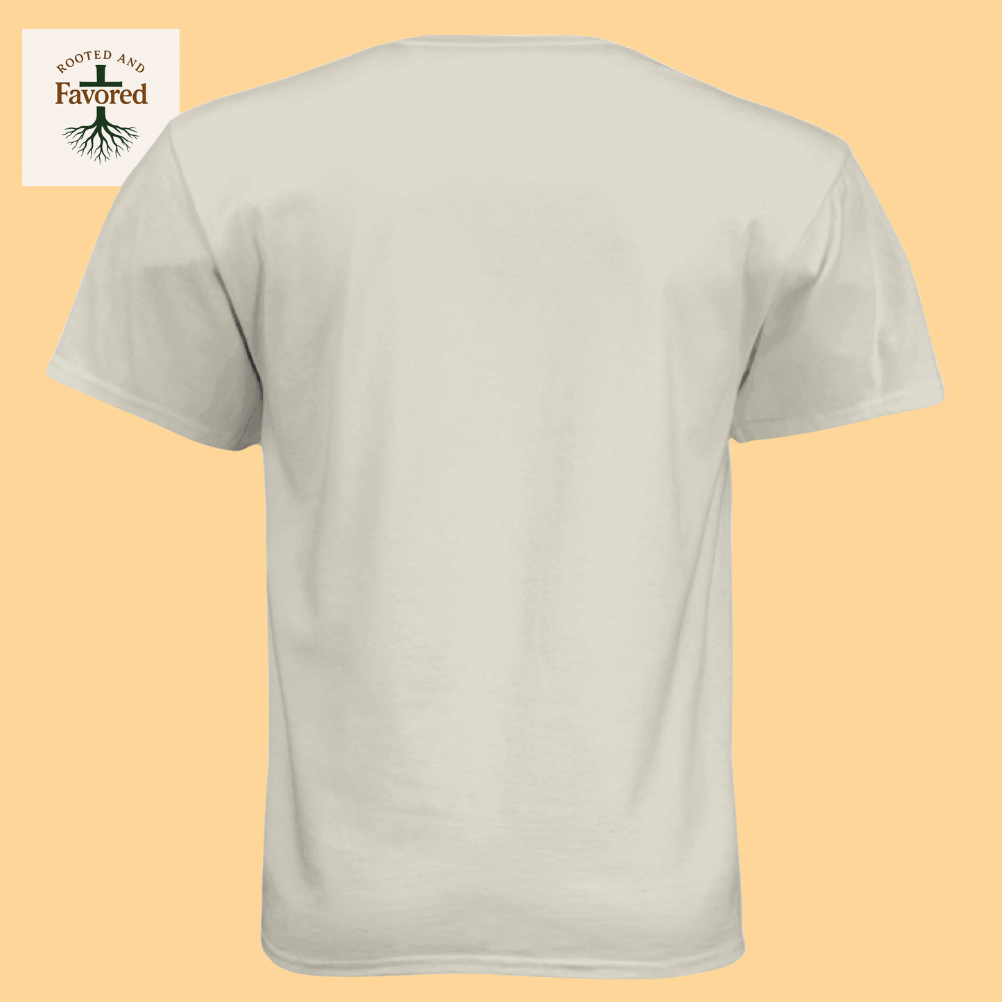 Men's Next Level Apparel Tee "Not Ashamed"