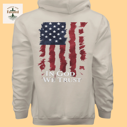 Men's Hanes Ultimate Pullover Hoodie "American Flag-In God We Trust"