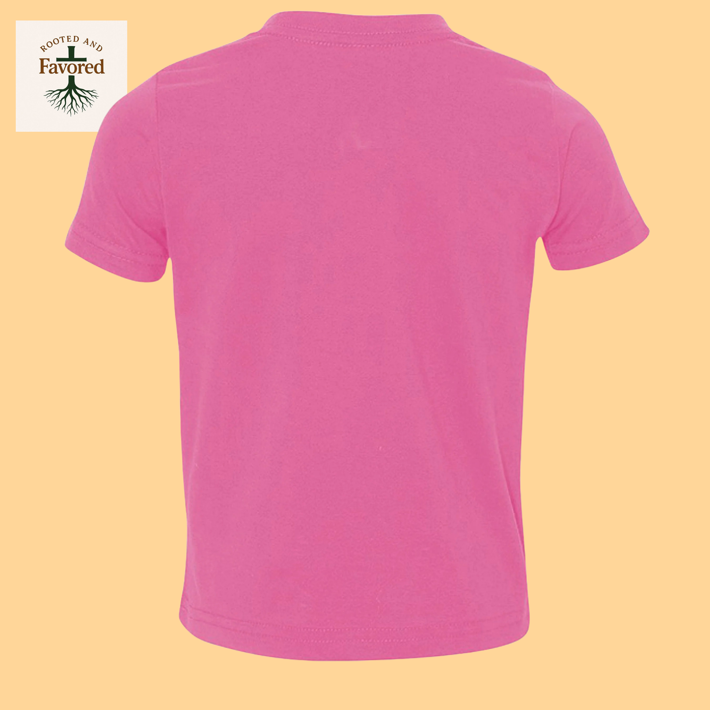 Rabbit Skins Toddler Fine Jersey T-Shirt "I AM A Child Of God"